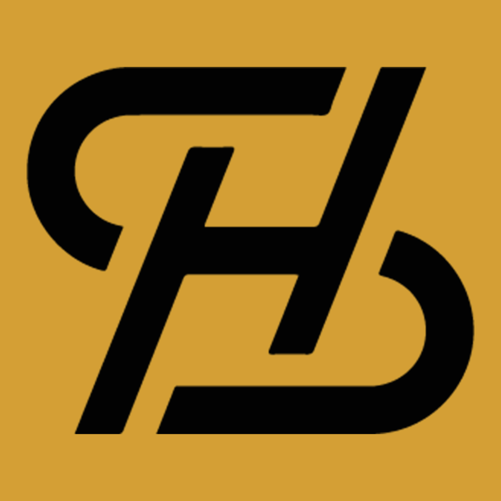 SRI HOLIDAYS logo